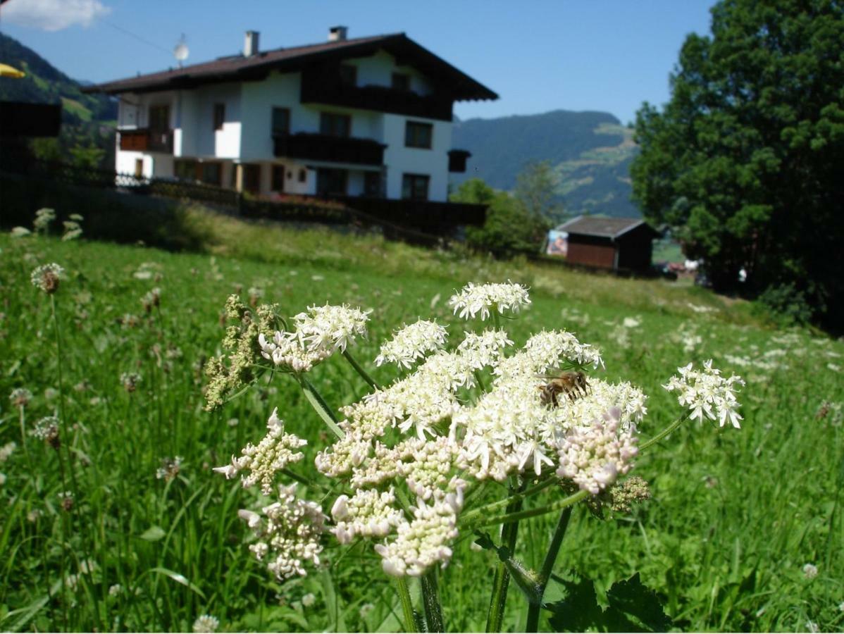 Appartement Hollaus Fügen Buitenkant foto